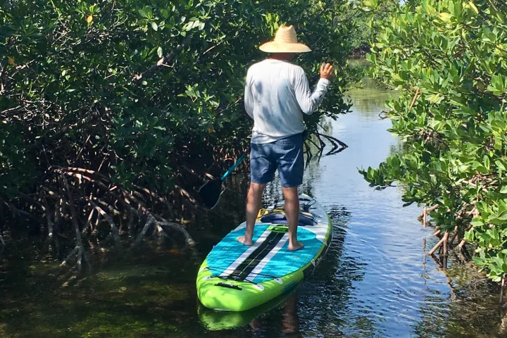 a man riding a paddleboard in calm waters