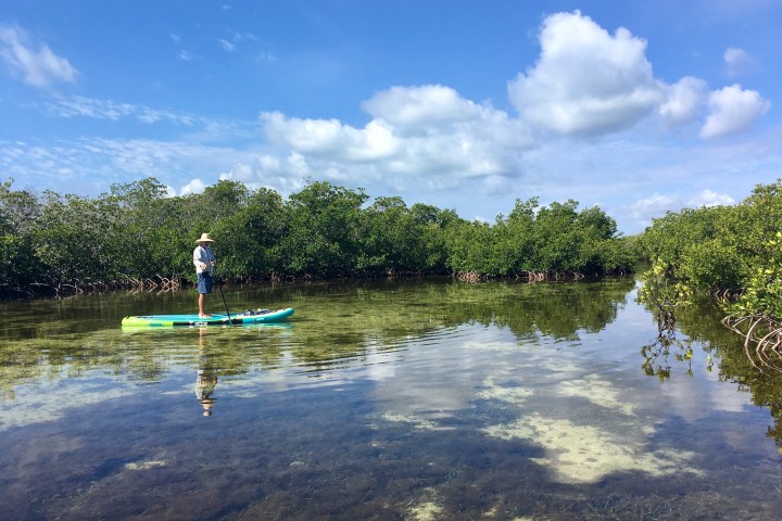 paddling in Jones Lagoon