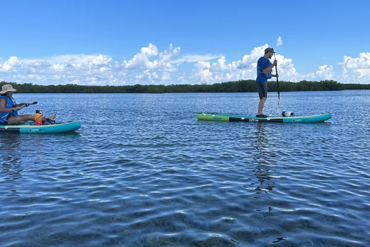 a man rowing a boat in a body of water