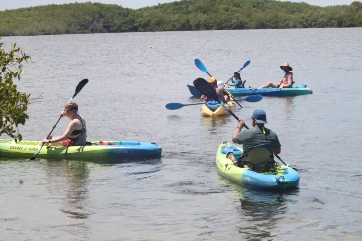 Group of people kayaking on a calm lake near trees.