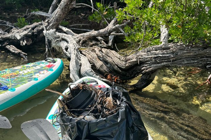 a group of people sitting in a tree