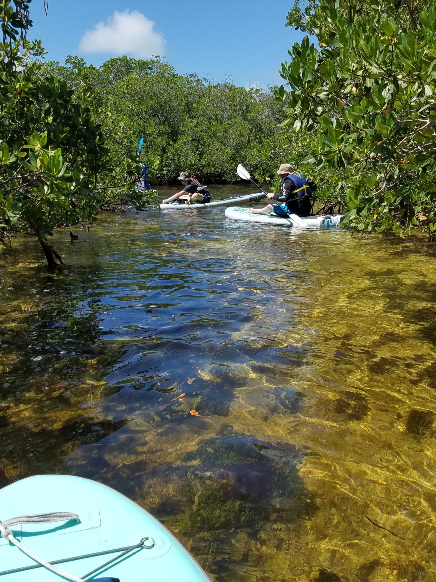 paddling