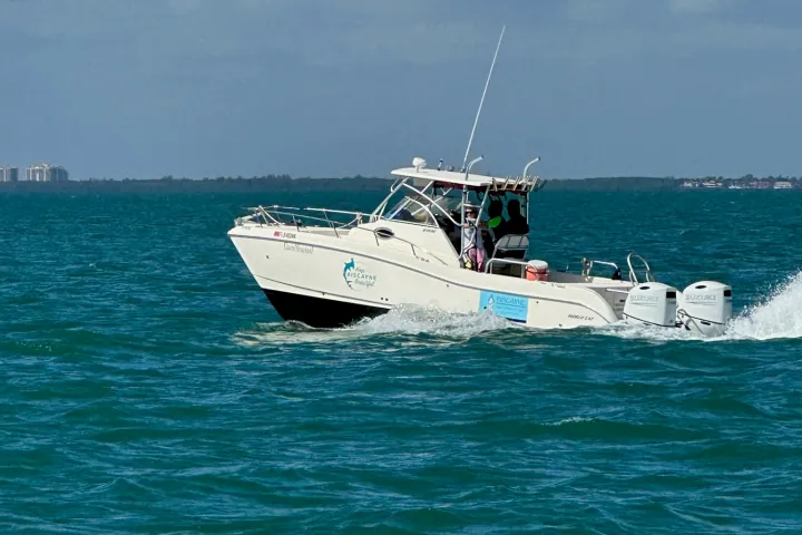 One of the boats used on the snorkel trip