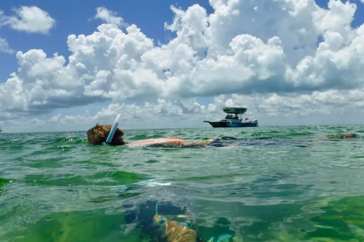 snorkelers at the reef