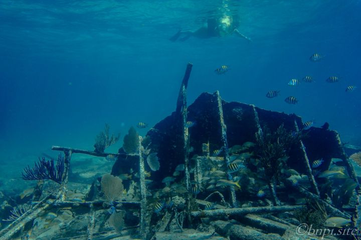 a group of people in a body of water