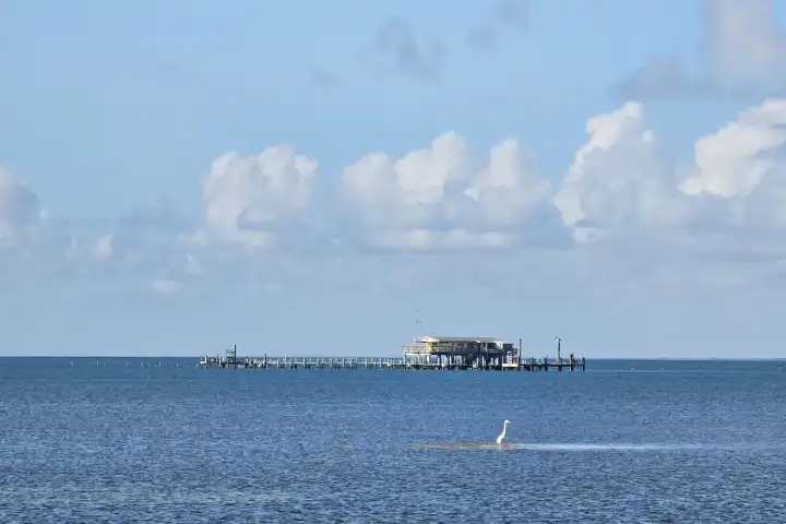Pier with a building over water, white bird standing on sandbar, blue sky and fluffy clouds.