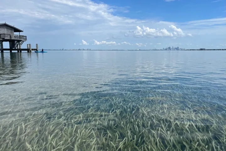 a large body of water
