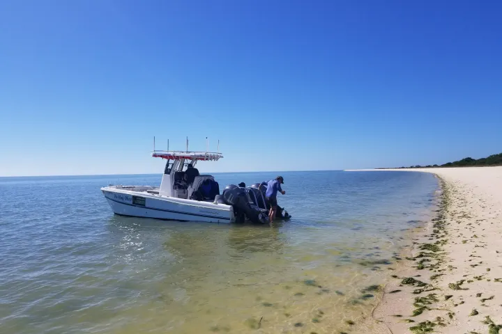 a boat on a body of water
