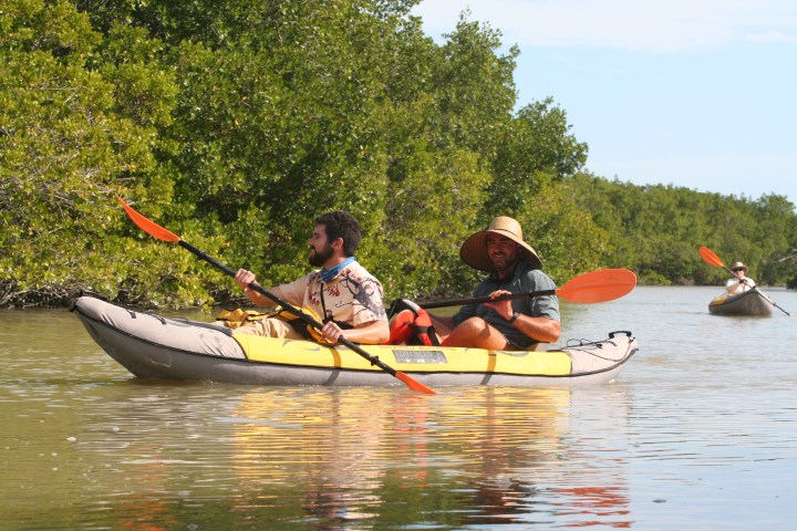 Two people kayaking in mangrove-lined water with paddles.