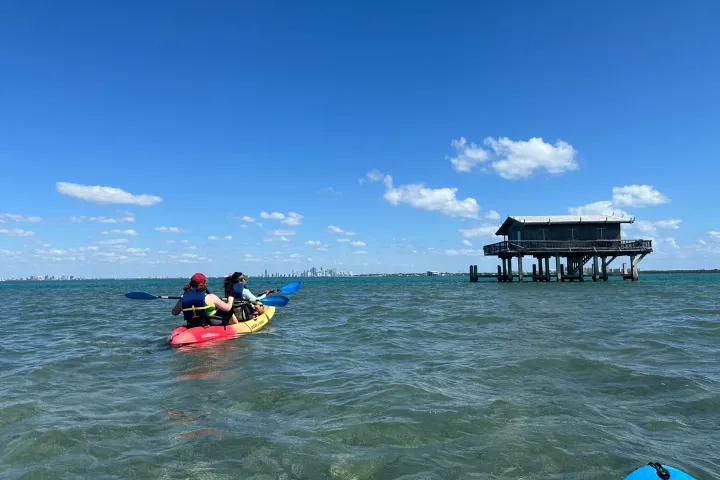 a man riding on the back of a boat in a body of water