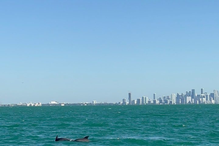 a large body of water next to the ocean