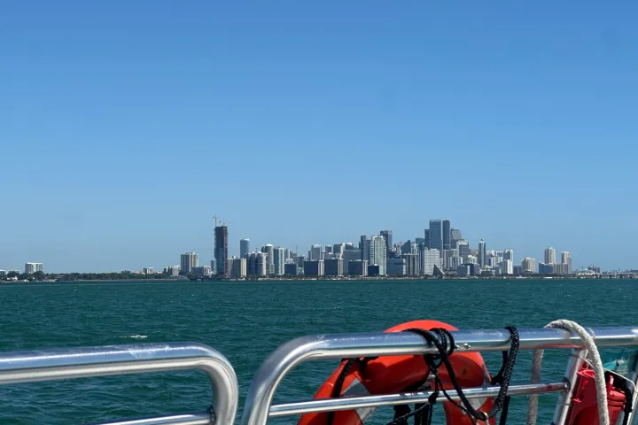 a bicycle is parked next to a body of water