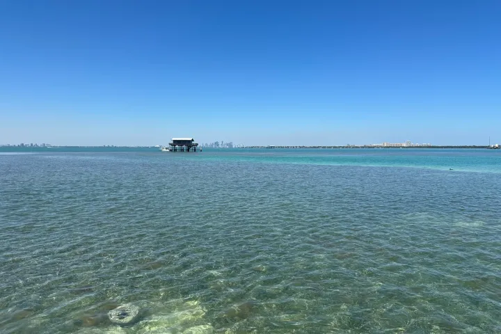 a large body of water