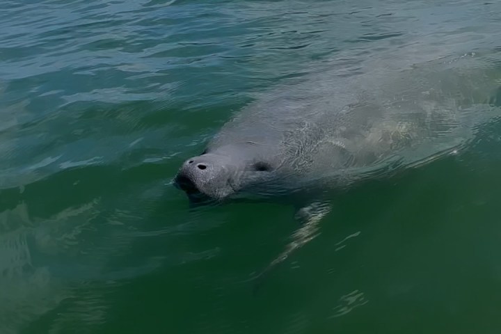 a person riding a wave on a surfboard in the water