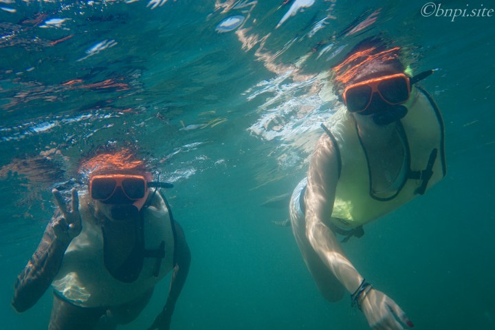 Two people snorkeling underwater with orange masks and vests.