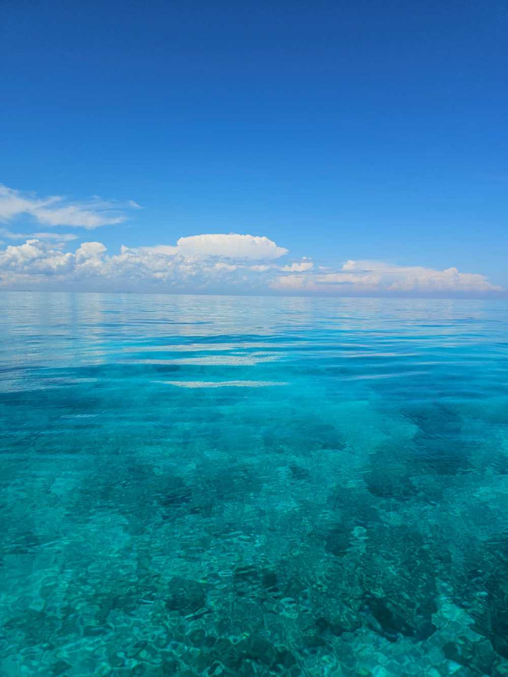 Clear blue ocean under a bright blue sky with scattered clouds.