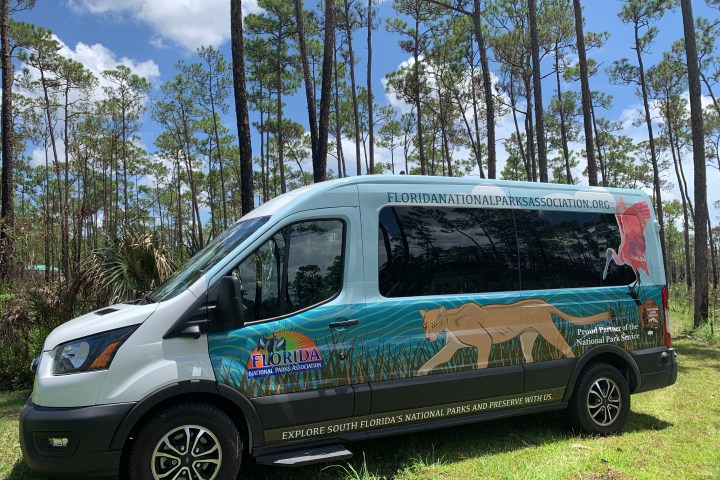 Van with Florida National Parks design parked in a forested area.
