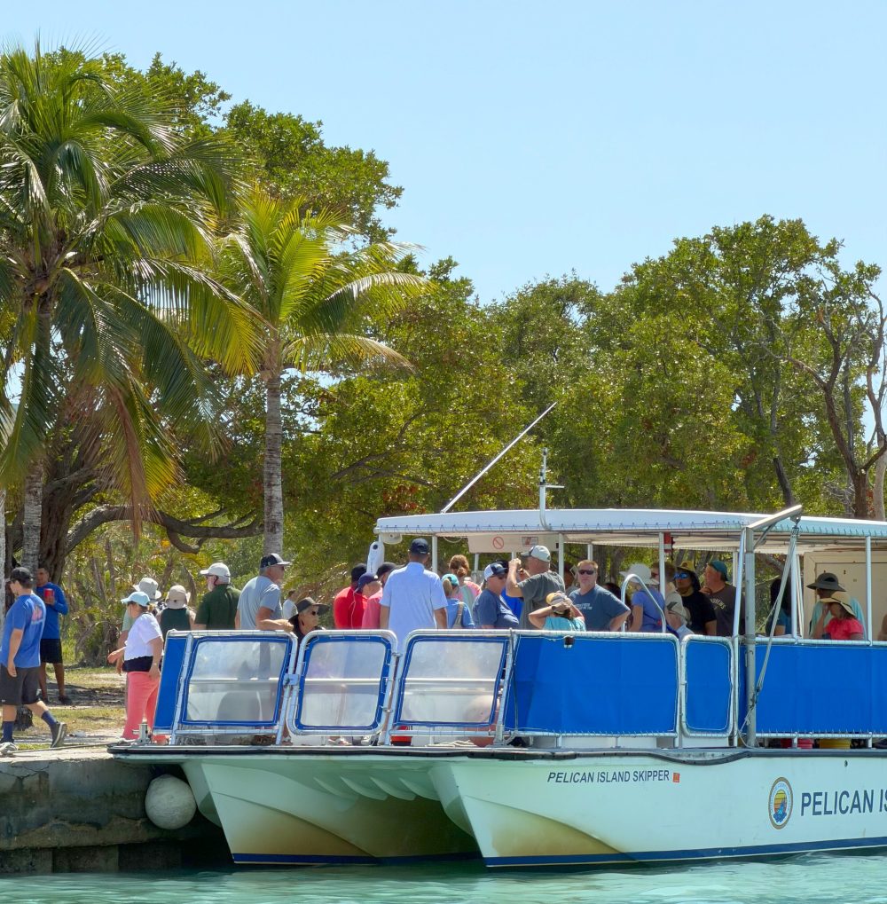 People boarding a boat named Pelican Island Skipper near palm trees and water.