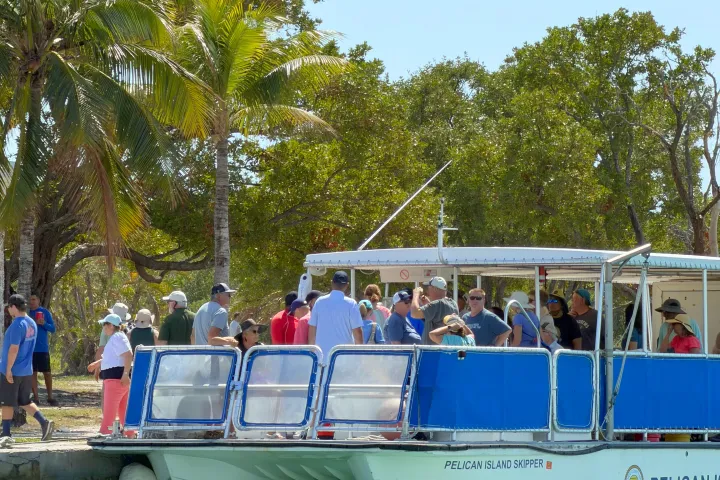 People boarding a boat named Pelican Island Skipper near palm trees and water.