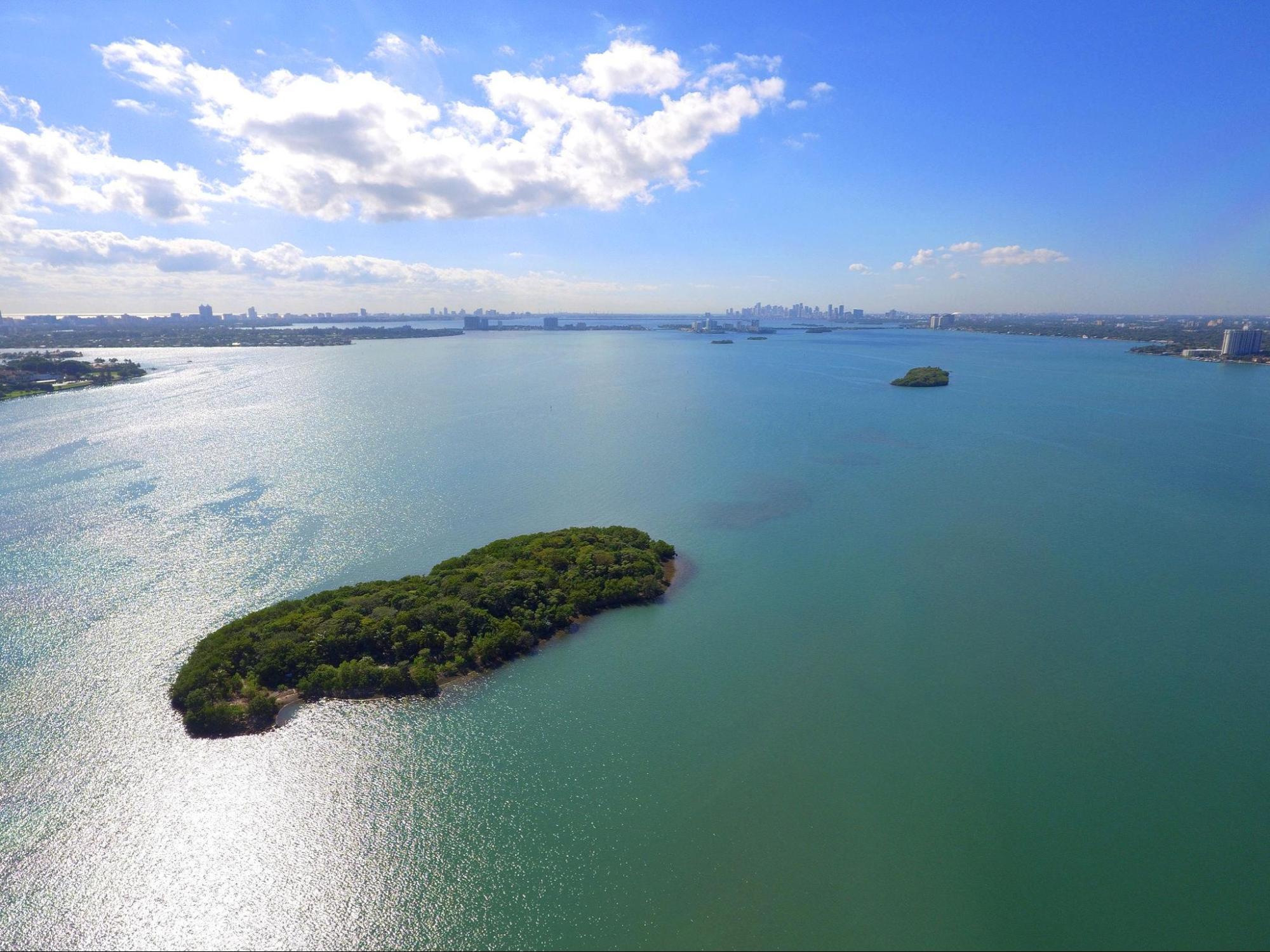 Aerial view of a small green island in a large blue bay with distant city skyline.