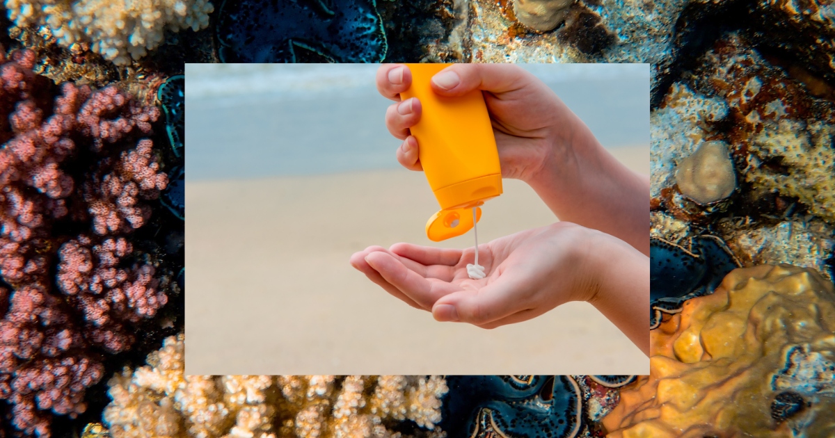 Hands applying sunscreen with an ocean background, framed by coral.